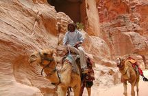 Petra Day Tour- Best of Petra Tour From Amman with Guide and Lunch Included