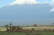 Overnight tour to Amboseli National park