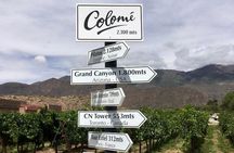 Luxury Colome wine tour