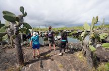 7-Day The Best of Galapagos Adventure