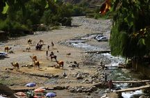 Atlas Mountains Day Trip with Camel Ride