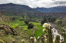 Overnight Tour: Colca Canyon Including Horse Riding from Arequipa