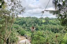 Ubud Private Tours with Jungle Swing Experience - all inclusive