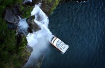 Half-Day Milford Sound Flight and Cruise from Queenstown