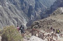 Colca Canyon Sightseeing Tour 2D1N and Transfer to Puno