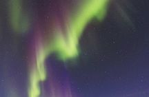 Northern Lights and Chena Hot Springs Night Tour from Fairbanks