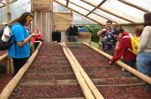 Mindo Cloud Forest Private Day Tour and Chocolate Factory