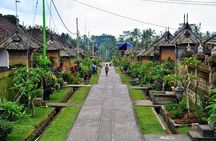 Full Day Batur Volcano and Besakih Temple Tour