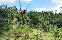 Water Rafting adventure with Jungle Swing & rice terraces