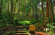 Colmar Tropicale & Japanese Village Day Tour from Kuala Lumpur