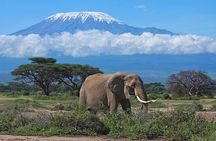 Day tour to Amboseli national park