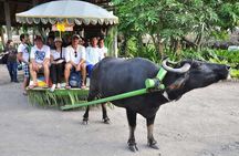VILLA ESCUDERO DAY TOUR with Carabao Cart Ride and Bamboo from Manila