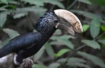 6 Days: Mid Range Safari To (tarangire,manyara, Ngorongoro And Serengeti)