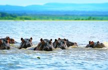 Day trip to Hells gate and Lake Naivasha