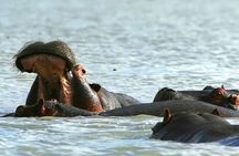 Day trip to Hells gate and Lake Naivasha