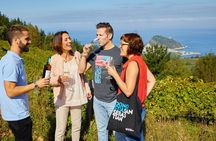 Discover the Essence of Txakoli Wine from San Sebastian
