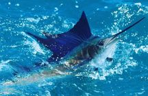 Shared BIG GAME Sportfishing Up To Six People 