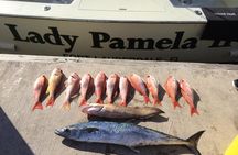 Shared BIG GAME Sportfishing Up To Six People 