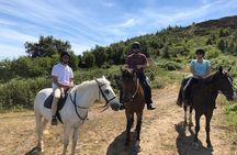Dublin to Wicklow, Glendalough Small Group Tour with Horse Riding