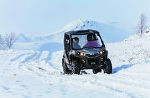 1 hour Buggy adventure - From Reykjavik