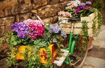 Family Friendly Florence Private City Tour