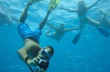 4-Hour Boat Trip to Isla de Lobos from Fuerteventura (Combo Deluxe)