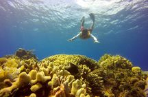 Combo 2 Caribbean Islands: Isla Mujeres, Cozumel with snorkel