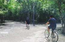 Cobá Ruins Tour (Private, Half Day)