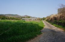 Village to village walk: Japan's oldest road, Yamanobe ancient trail (Private)