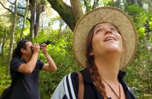 Auckland Bush, Beach and Bites Trail