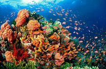 Coron Island Tour A (Shared Tour)