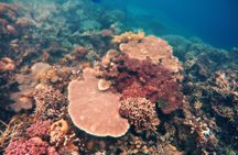 Coron Island Tour B (Shared Tour)