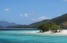 Coron Reefs & Wreck Tour (Shared Tour)