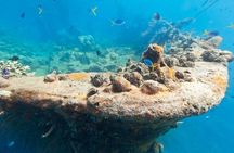 Coron Reefs & Wreck Tour (Shared Tour)
