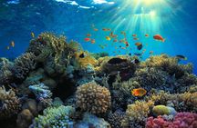 All inclusive: Blue lagoon Snorkeling & the Bats cave temple