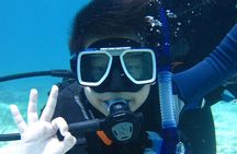 Open Water Course (PADI)