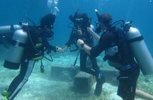 Open Water Course (PADI)