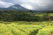 Bali Highlight Tours