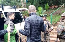 3 Days Gorilla trekking Safari Uganda, Bwindi Impenetrable Forest