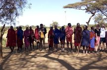 Masai Mara Full Day Tour from Nairobi, Naivasha or Nakuru