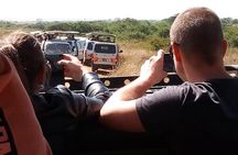2 days Tsavo East National park tour