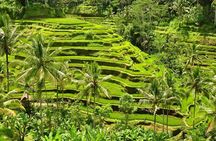 Tickets inclusive: Blessing Bali Tour