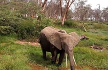 3 Day Maasai Mara & Migration safari