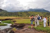 Arusha National Park Day Trip