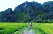 Hoa Lu - Mua Cave - Local Market -Tam Coc - Bich Dong 2days small group tour