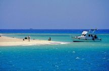 Dolphin House Snorkeling Day Cruise with Lunch from Hurghada