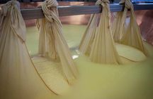 Parmigiano Reggiano Cheese Factory Tour & Tasting Experience