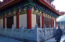 Private & Personalized Lantau Island Day Trip from Hong Kong