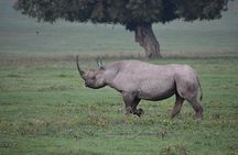 6 Days: Classic Camping( Tarangire, Manyara, Serengeti And Ngorongoro).