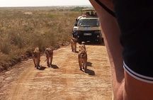 2 days maasai mara flying safari